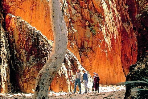 West MacDonnell Ranges Day Trip From Alice Springs - Tourism Gold Coast 3
