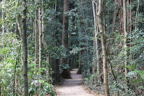 Eumundi Markets And Sunshine Coast Day Trip From Brisbane - Tourism Gold Coast 4