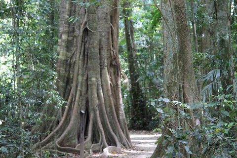 Noosa And Sunshine Coast Hinterland Day Trip From Brisbane - Tourism Gold Coast 3