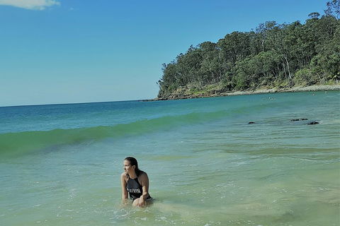 Noosa And Sunshine Coast Hinterland Day Trip From Brisbane - Tourism Gold Coast 4