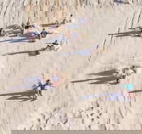 Unlimited Sandboarding - Gold Coast