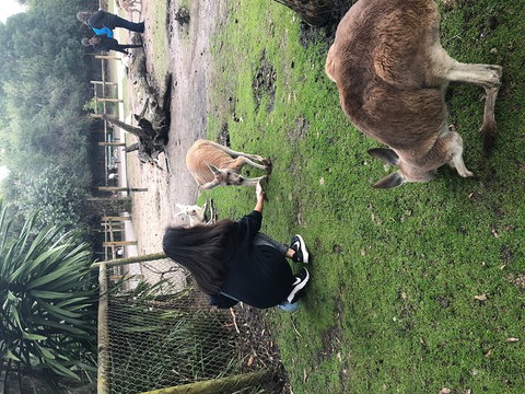 Perth Hills - Wildlife, Art & Gastronomy - Tourism Gold Coast 4
