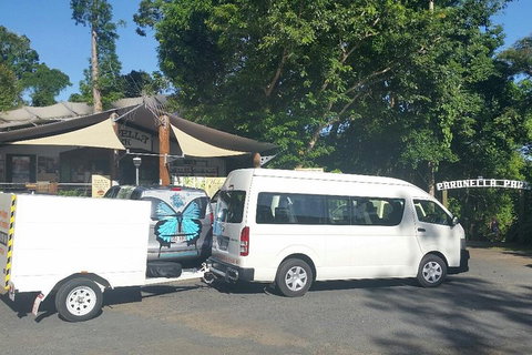 Airport Transfer To Or From Cairns Hotels For Up To 13 People - Tourism Gold Coast 4