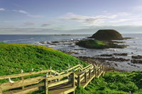 Full-Day Private Australian Wildlife Tour of Phillip Island, Melbourne