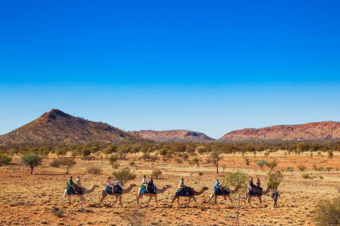 Alice Springs Camel Tour - Tourism Gold Coast 0