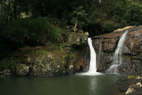 Hinterland Magic & Glow-worm Experience - Tourism Gold Coast 2