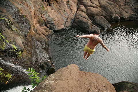 Hinterland Magic & Glow-worm Experience - Tourism Gold Coast 3