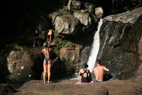 Hinterland Magic & Glow-worm Experience - Tourism Gold Coast 5