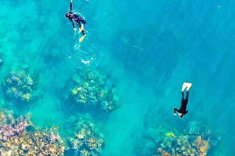 Fly & Cruise - Seaplane Package - Tourism Gold Coast 1