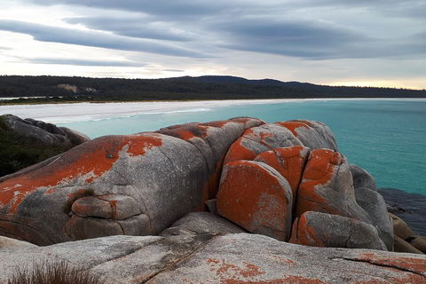 3-Day Bay Of Fires Photography Workshop From Hobart - Tourism Gold Coast 0