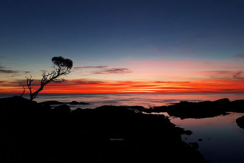3-Day Bay Of Fires Photography Workshop From Hobart - Tourism Gold Coast 1