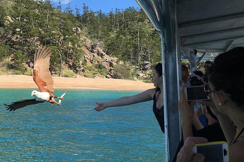 Aquascene Magnetic Island Discovery Tour - Tourism Gold Coast 2