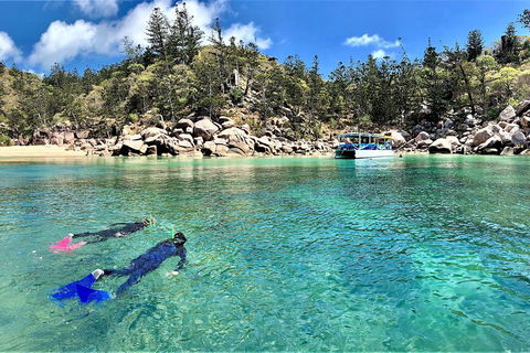 Aquascene Magnetic Island Discovery Tour - Tourism Gold Coast 4