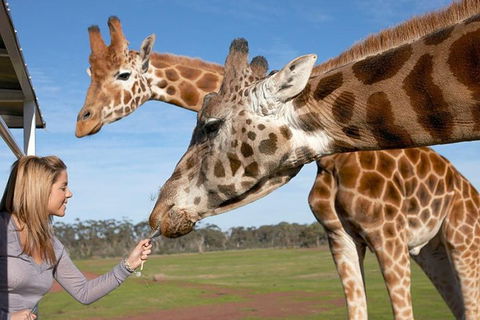 Melbourne City Card (2 Days): Visit Unlimited Attractions! - Tourism Gold Coast 1