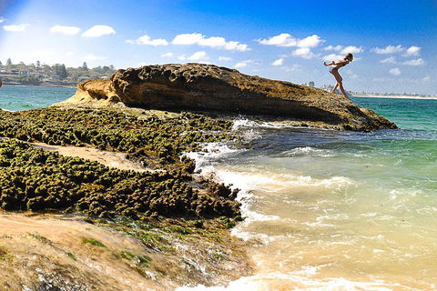 Much More To See Of Sydney Private Tour - Tourism Gold Coast 1