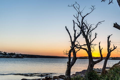 Much More To See Of Sydney Private Tour - Tourism Gold Coast 5