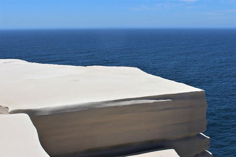 Royal National Park Tour - Tourism Gold Coast 0