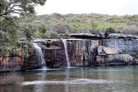 Royal National Park Tour - Tourism Gold Coast 1