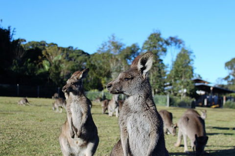Royal National Park Tour - Tourism Gold Coast 2