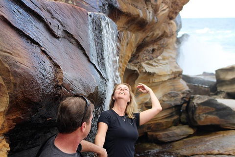 Royal National Park Tour - Tourism Gold Coast 4
