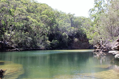 Royal National Park Tour - Tourism Gold Coast 5