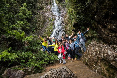 5-Day Lap Of Tasmania Tour From Hobart (flexible Ticket) - Tourism Gold Coast 0