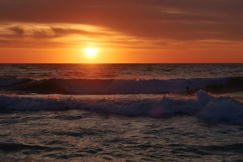 Australian Animals, Seascape And Sunset Photography Tour - Tourism Gold Coast 5
