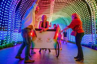 Christmas Lights Rickshaw Tour in Perth
