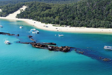 All Inclusive Dolphin And Tangalooma Wrecks Cruise - Tourism Gold Coast 4