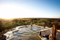Peninsula Hot Springs  Wine Tasting - Day Tour, Melbourne