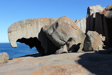 Kangaroo Island Personal Group Tours - Tourism Gold Coast 2