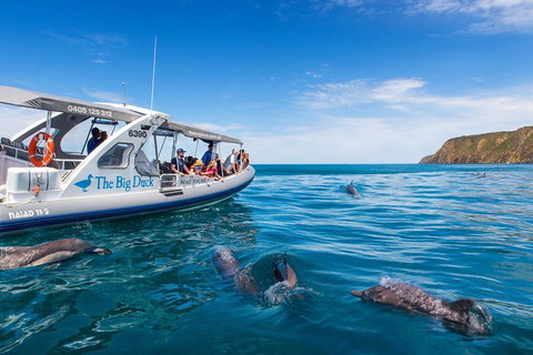 Victor Harbor And McLaren Vale Wine Region Day Tour - Tourism Gold Coast 1