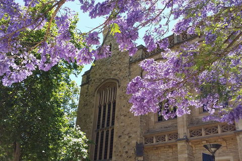 Cultural Caper Adelaide Walking Tour - Tourism Gold Coast 1