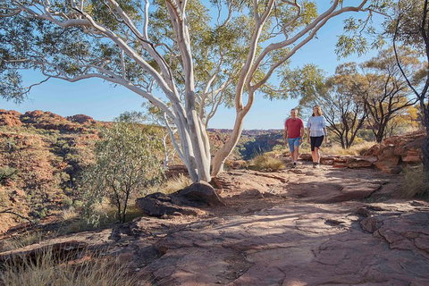 3-Day Tour From Uluru (Ayers Rock) To Alice Springs Via Kings Canyon - Tourism Gold Coast 1