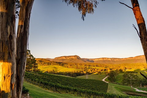 Taste Of The Blue Mountains - Lunch & Wine Tasting, Beer, Cider & Gin Tasting - Tourism Gold Coast 1