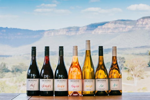Taste Of The Blue Mountains - Lunch & Wine Tasting, Beer, Cider & Gin Tasting - Tourism Gold Coast 3