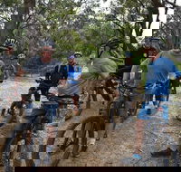 Fully guided E-Mountain Bike Tour on the beautiful Mornington Peninsula. - Gold Coast