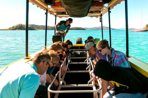 Airlie Beach Glass Bottom Boat Tour - Tourism Gold Coast 1