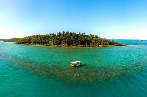 Airlie Beach Glass Bottom Boat Tour - Tourism Gold Coast 3