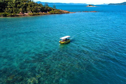 Airlie Beach Glass Bottom Boat Tour - Tourism Gold Coast 4