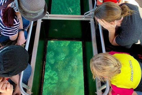 Airlie Beach Glass Bottom Boat Tour - Tourism Gold Coast 5
