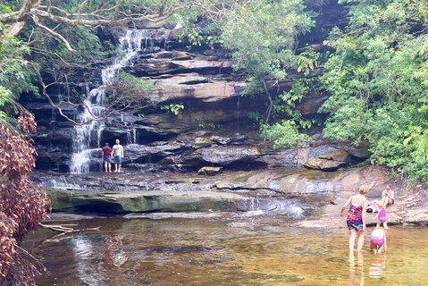 Central Coast Private Tour From Sydney, With Australian Reptile Park Option - Tourism Gold Coast 0