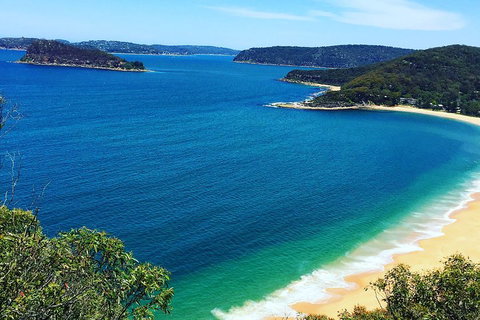 Central Coast Private Tour From Sydney, With Australian Reptile Park Option - Tourism Gold Coast 5