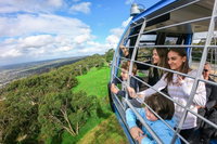Peninsula Hot Springs tour with restaurant lunch  gondola ride, Melbourne