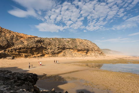 Mornington Peninsula Small Group Day Tour - Tourism Gold Coast 5