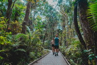 Full Day Cooktown Private Tour, Cape Tribulation