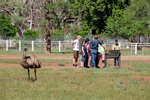 Yura Udnyu - Our Culture, Your Culture (Aboriginal Cultural Walk) - Tourism Gold Coast 1
