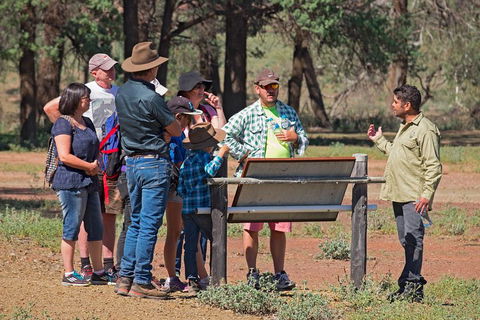 Yura Udnyu - Our Culture, Your Culture (Aboriginal Cultural Walk) - Tourism Gold Coast 2