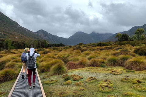 3 Day Tasmanian Wild West Coast Tour From Hobart To Launceston - Gold Coast 3