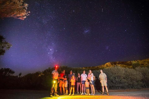 Alice Springs Desert Park Nocturnal Tour - Tourism Gold Coast 2